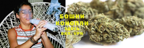 шишки Вяземский