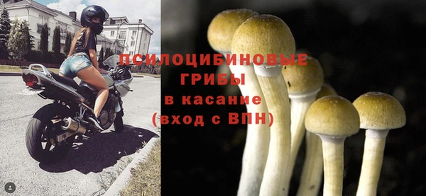 крисы Волоколамск