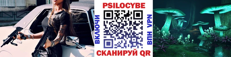 Псилоцибиновые грибы Cubensis  Купить  Нарткала 